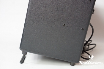 AC-90 Acoustic Chorus